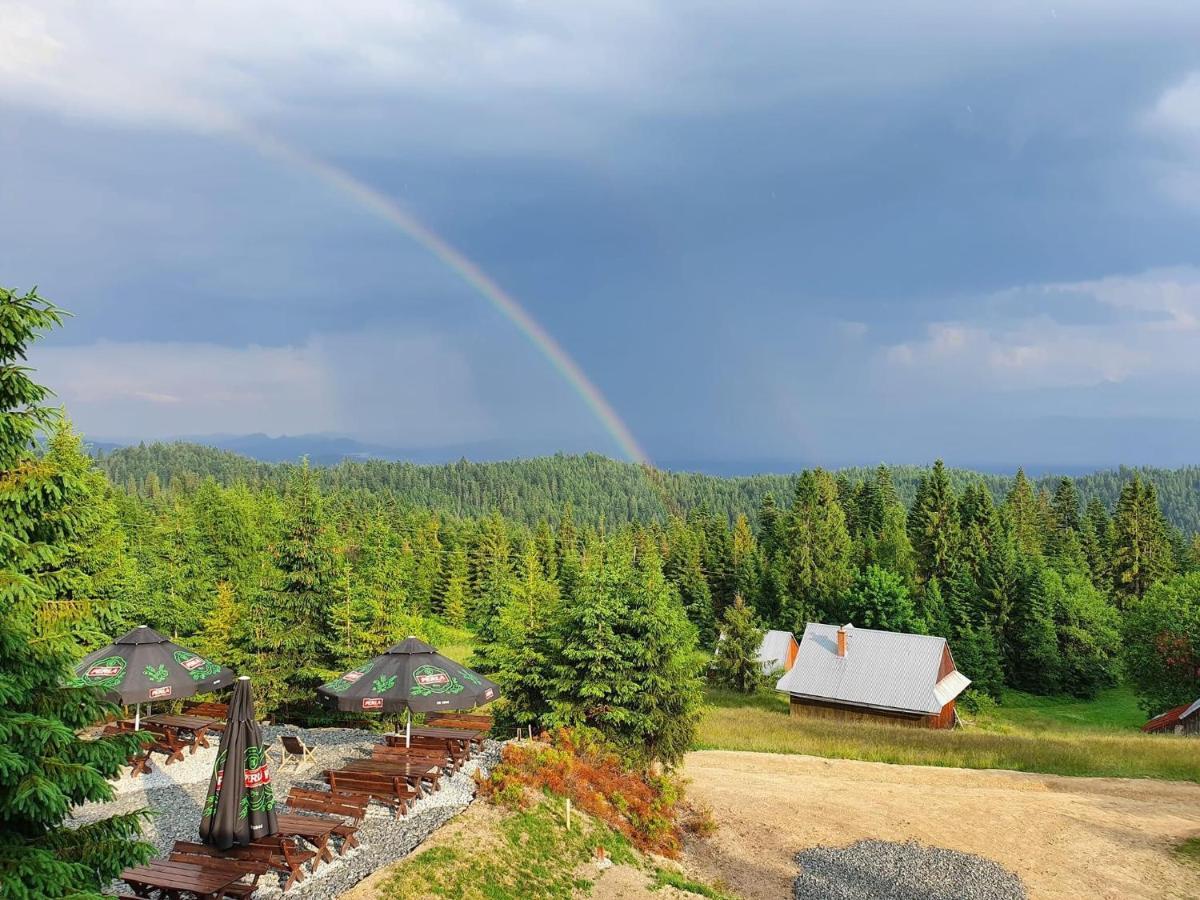 Domek W Gorach- Bacowka U Dudka Nowy Targ Buitenkant foto