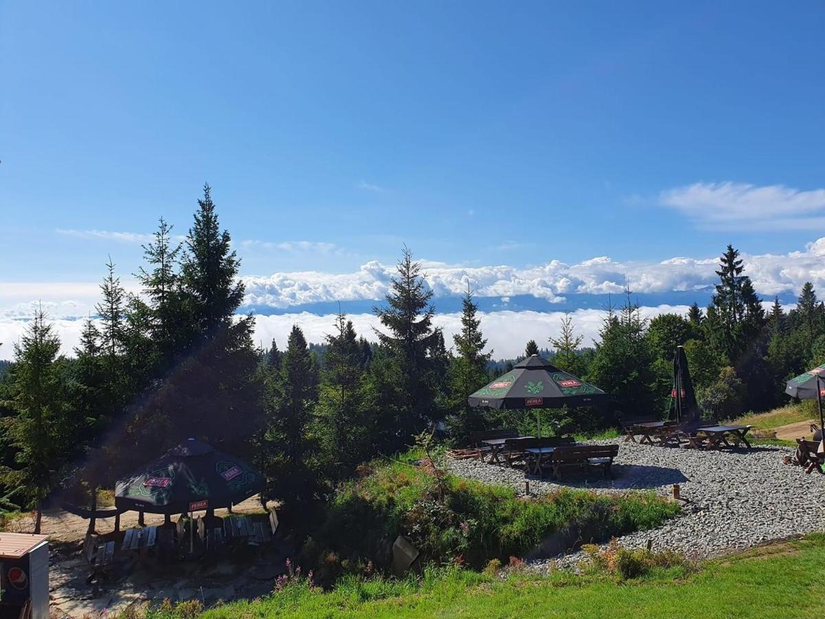 Domek W Gorach- Bacowka U Dudka Nowy Targ Buitenkant foto