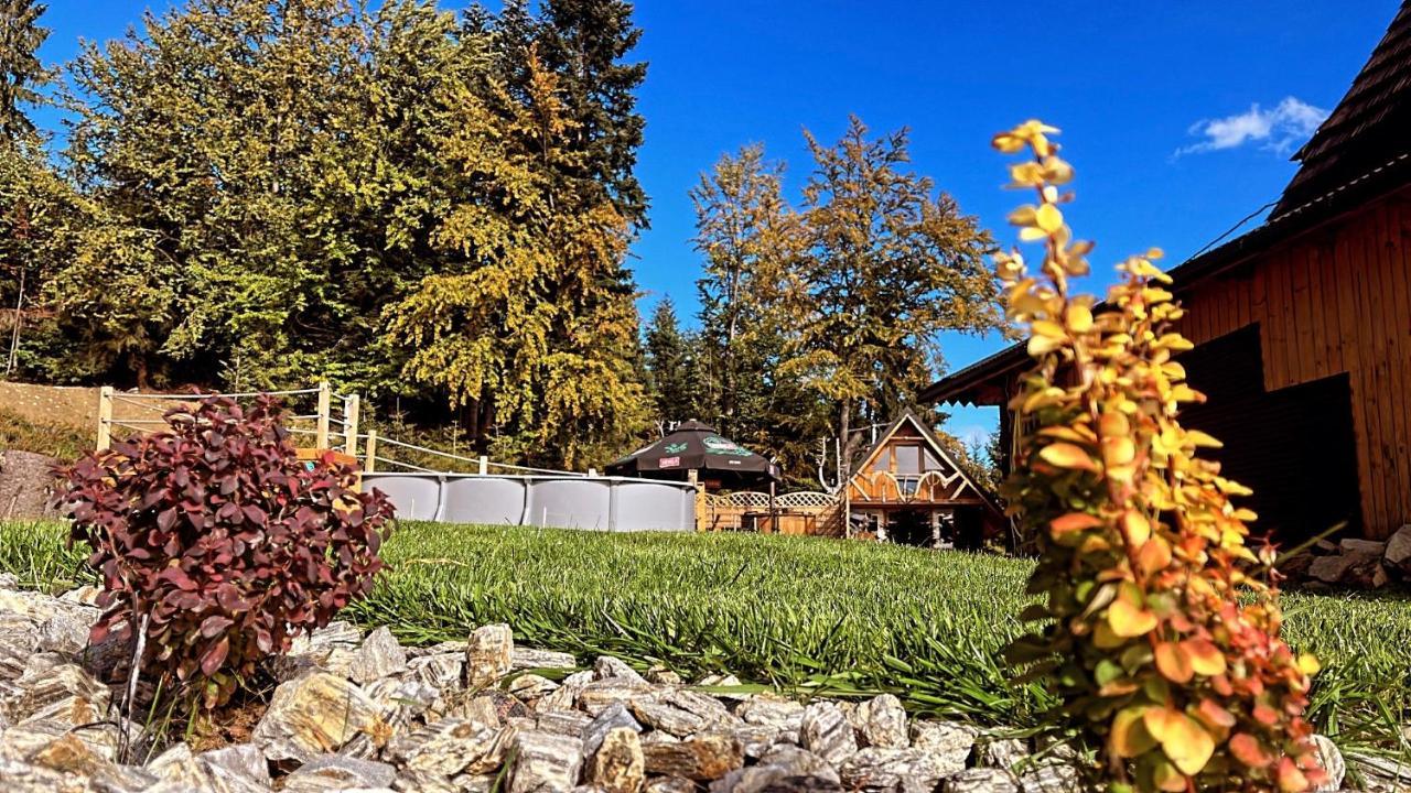Domek W Gorach- Bacowka U Dudka Nowy Targ Buitenkant foto