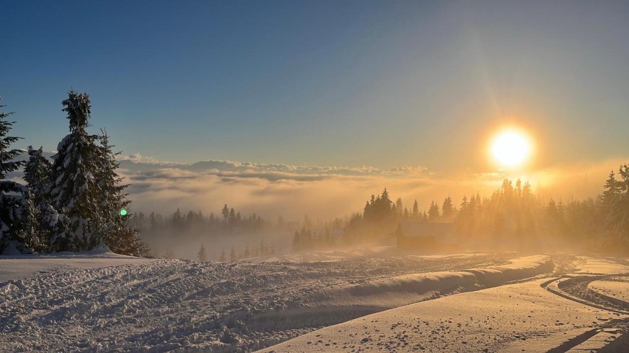 Domek W Gorach- Bacowka U Dudka Nowy Targ Buitenkant foto
