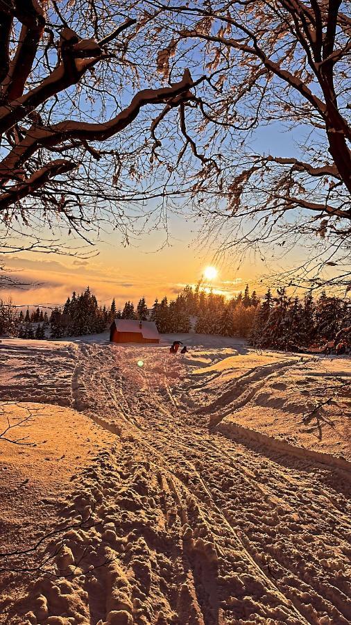Domek W Gorach- Bacowka U Dudka Nowy Targ Buitenkant foto