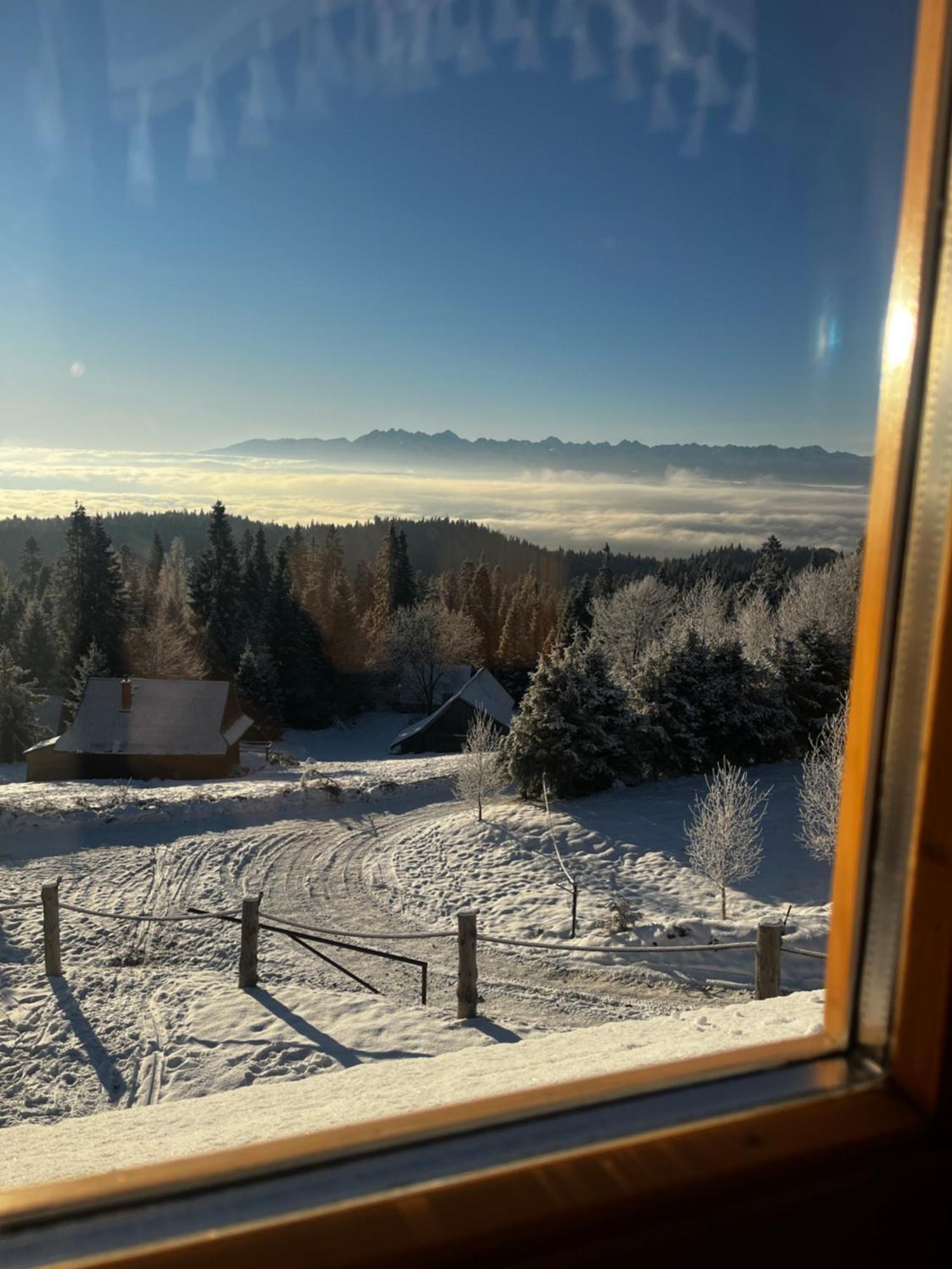 Domek W Gorach- Bacowka U Dudka Nowy Targ Buitenkant foto